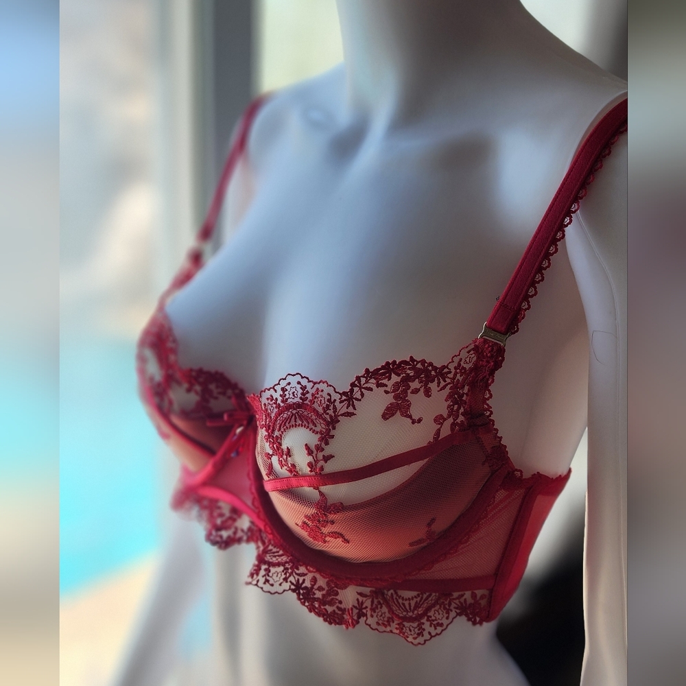 NWT Honey Birdette Red Lingerie Lace Bra!